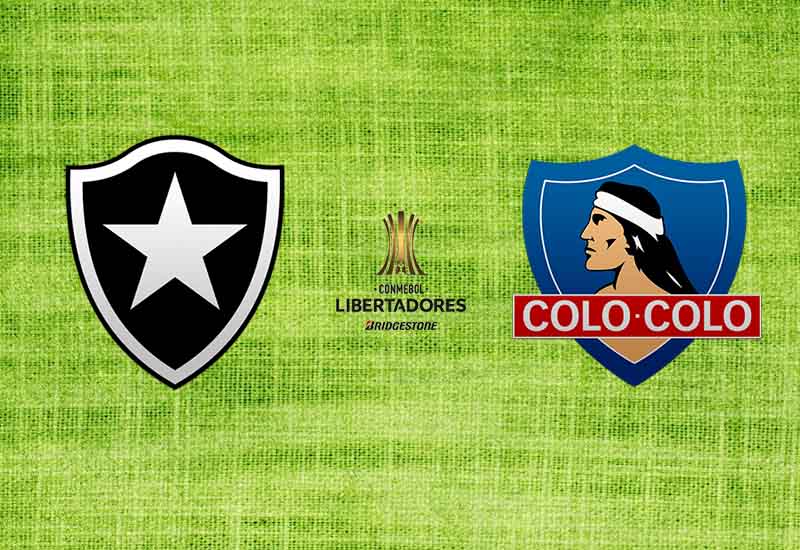 Botafogo-Colo-Colo-Libertadores-Futebol-Latino-01-02