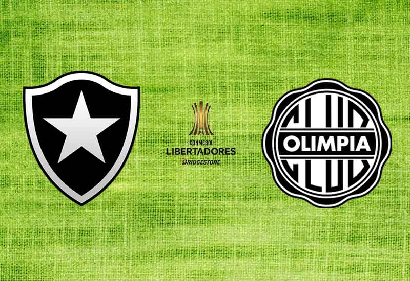 Botafogo-Olimpia-Libertadores-Futebol-Latino-15-02
