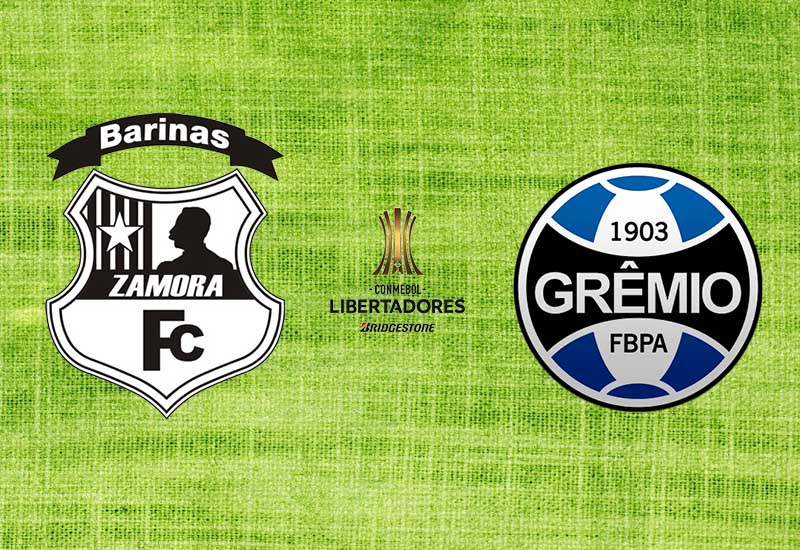 Zamora-Grêmio-Libertadores-Futebol-Latino-09-03