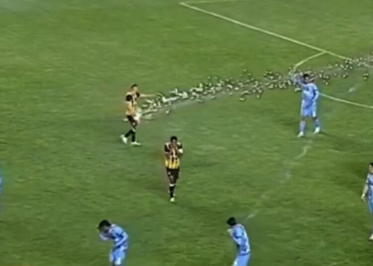 jogador-do-the-strongest-e-atingido-por-rojao-da-propria-torcida